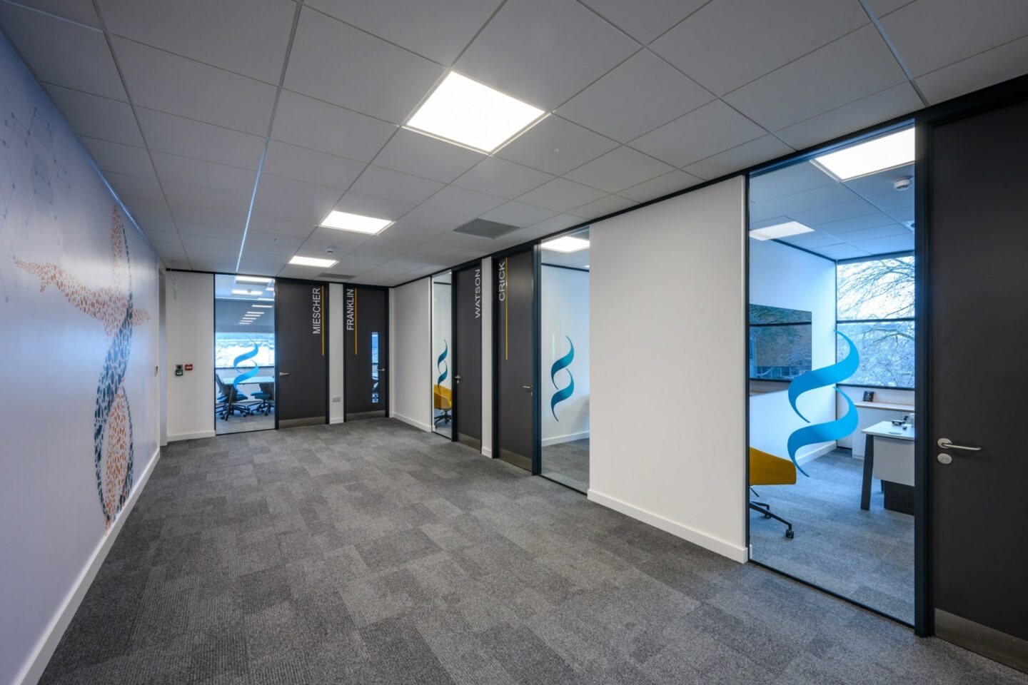 THACKRAY Sourcenet LARGE-066_JPG1920